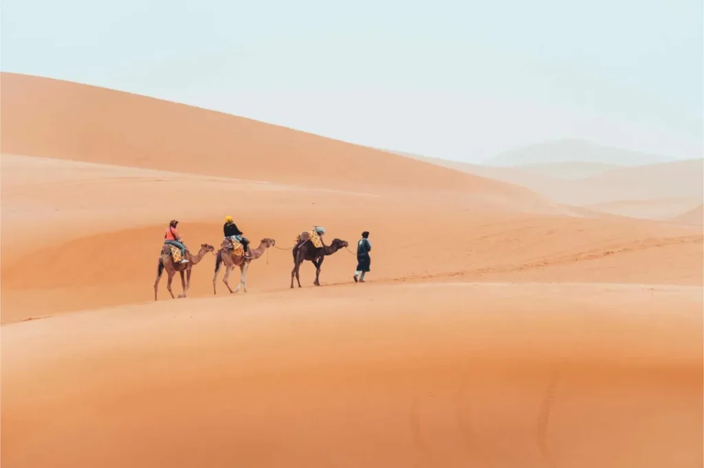 Dunes du désert au départ de Marrakech
